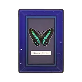 Petit Planet Bluebottle Wall Art icon
