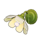 Petit Planet Daisy Wall Light icon