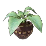 Petit Planet Lanna Black Ceramic Planter icon