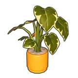 Petit Planet Maizeglow Potted Plant icon
