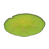 Petit Planet Nelumbra Rug icon