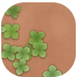 Petit Planet Overgrown Dirt Path icon