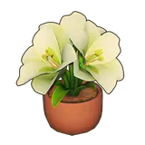 Petit Planet Potted Amaryllis icon
