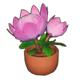 Petit Planet Potted King Protea icon