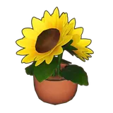 Petit Planet Potted Sunflower icon