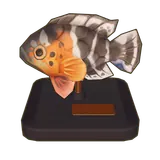 Petit Planet Red-Breasted Wrasse Model icon
