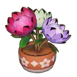 Petit Planet Tricolor Potted King Protea icon