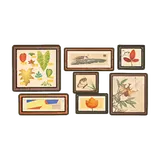 Petit Planet Wildwinds Artwork Set icon