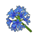 Petit Planet Blue Agapanthus icon