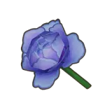 Petit Planet Blue Mooncycle Rose icon