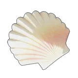 Petit Planet Broken Seashell icon