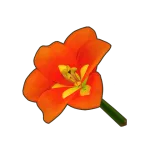 Petit Planet Orange Amaryllis icon