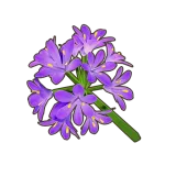 Petit Planet Purple Agapanthus icon