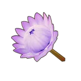 Petit Planet Purple King Protea icon