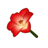 Petit Planet Red Amaryllis icon