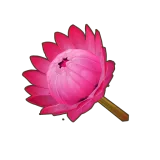 Petit Planet Red King Protea icon