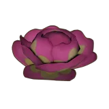 Petit Planet Strange Cabbage icon
