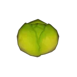 Petit Planet Stunted Cabbage icon