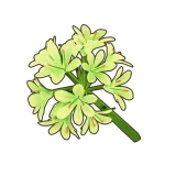 Petit Planet White Agapanthus icon