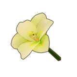 Petit Planet White Amaryllis icon