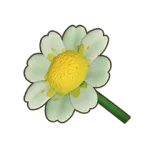 Petit Planet White Daisy icon