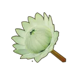 Petit Planet White King Protea icon