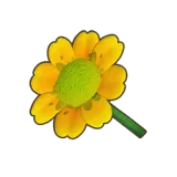 Petit Planet Yellow Daisy icon