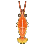Petit Planet Angel Red Shrimp icon