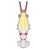 Petit Planet Banded Coral Shrimp icon