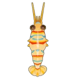 Petit Planet Candy-Striped Shrimp icon