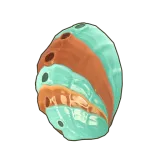 Petit Planet Disk Abalone icon
