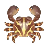 Petit Planet Flat Rock Crab icon