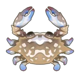 Petit Planet Flower Crab icon