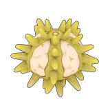 Petit Planet Green Sea Urchin icon