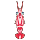 Petit Planet Hingebeak Shrimp icon