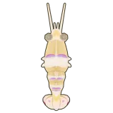 Petit Planet Magnificent Anemone Shrimp icon
