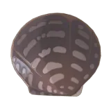 Petit Planet Pearl Oyster icon