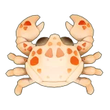 Petit Planet Red Spotted Porcelain Crab icon