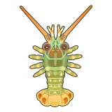 Petit Planet Scalloped Spiny Lobster icon
