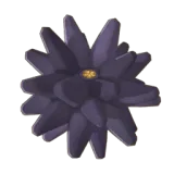 Petit Planet Sea Urchin icon