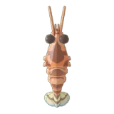 Petit Planet Tiger Prawn icon